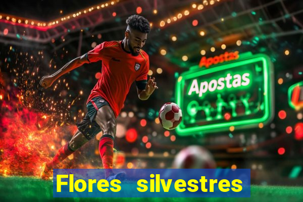 Flores silvestres brasileiras 25